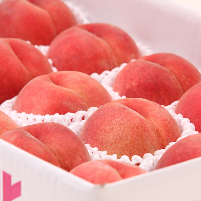 【ふるさと納税】 ≪2026年先行予約≫ 8月発送 山形県産 品種おまかせ 白桃 約3kg（8～12玉） 秀品 2026年8月上旬から順次発送 桃 もも モモ 果物 くだもの 夏果実 フルーツ 産地直送 山形県 西川町 月山 FYN6-115var サムネイル3