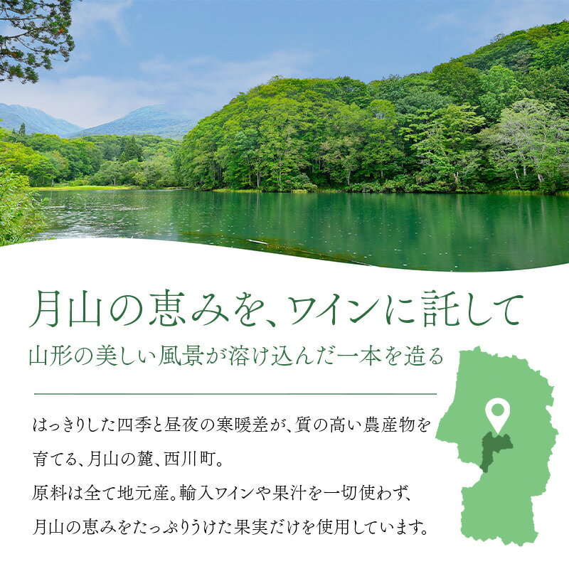 【ふるさと納税】 【数量限定】月山山麓ワイン「月虎」カベルネ・ソーヴィニヨン（赤）720ml ミディアムボディ 辛口 山形県 西川町 FYN6-240 サムネイル2