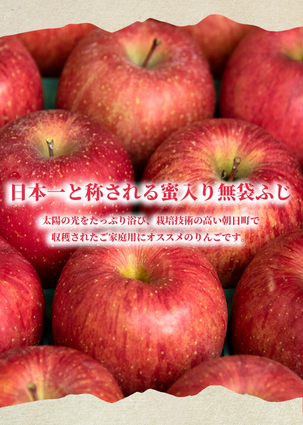 【ふるさと納税】りんご 山形県 朝日町産 ご家庭用 訳あり「サンふじ」10kg (36～46玉)　山形県産 特産 果物 フルーツ リンゴ 林檎 秋 冬 送料無料 サムネイル3