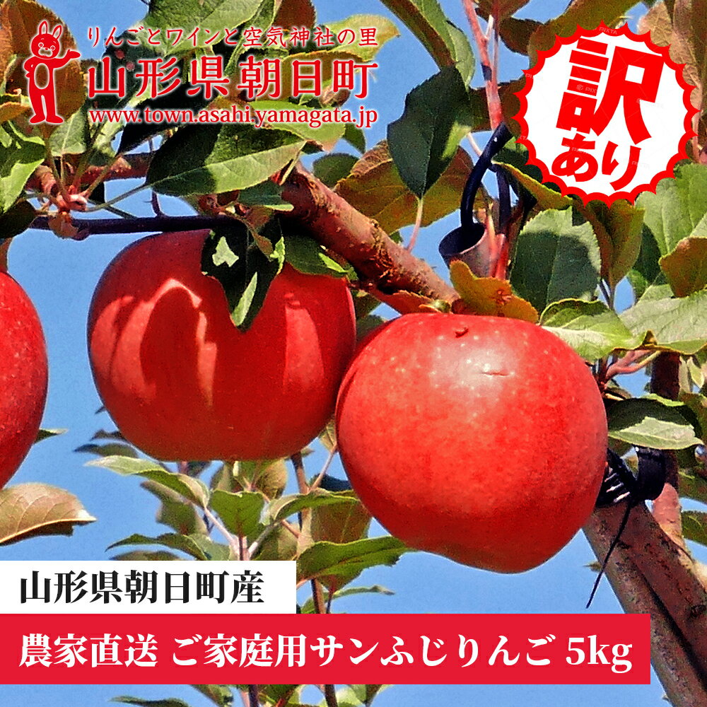 ＜先行予約＞ りんご 【 ご家庭用 訳あり 】 サンふじ 5kg 【2026年11月下旬～発送】 山形県 朝日町産 農家直送 山形県産 特産 果物 フルーツ リンゴ 林檎 秋 冬 送料無料