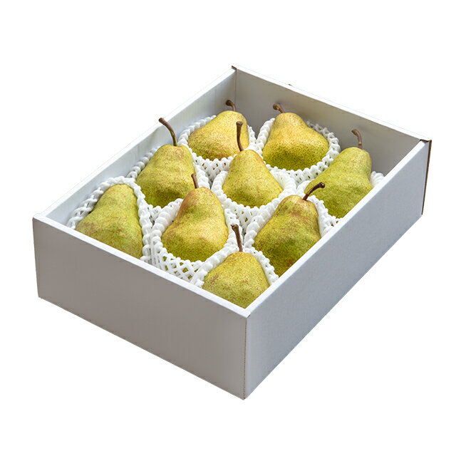 【ふるさと納税】 エルドラド 洋梨 特秀 3kg詰め 山形産 農家直送 山形 特産 産地直送 果物 フルーツ 冬 山形県 朝日町産 送料無料 先行予約 サムネイル2