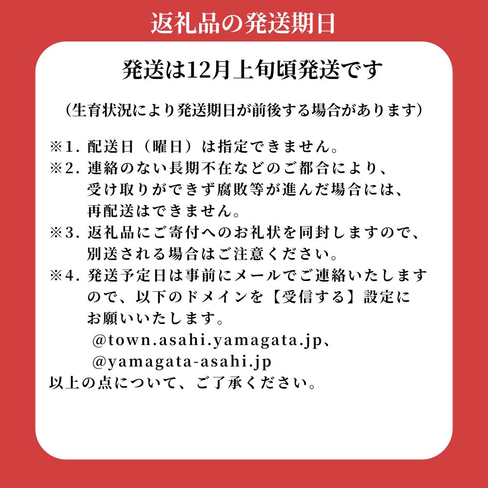 【ふるさと納税】特選 りんご 無袋ふじ 秀 ～ 特秀 3kg 目安 9玉 山形県産 特産 果物 山形県 朝日町産 フルーツ サンふじ リンゴ 林檎 冬 送料無料 サムネイル2