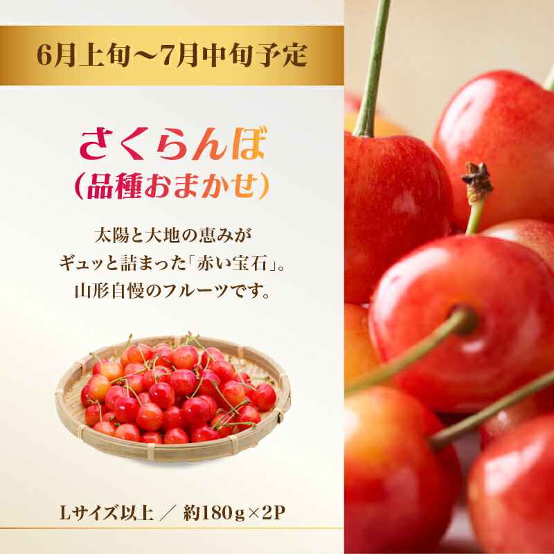 【ふるさと納税】おいしい！ジューシー！山形フルーツバラエティ定期便 【定期便全5回】山形県 大江町 ふるさと納税 さくらんぼ 白桃 もも 梨 和梨 シャインマスカット りんご フルーツ デザート ご褒美 人気 サムネイル3