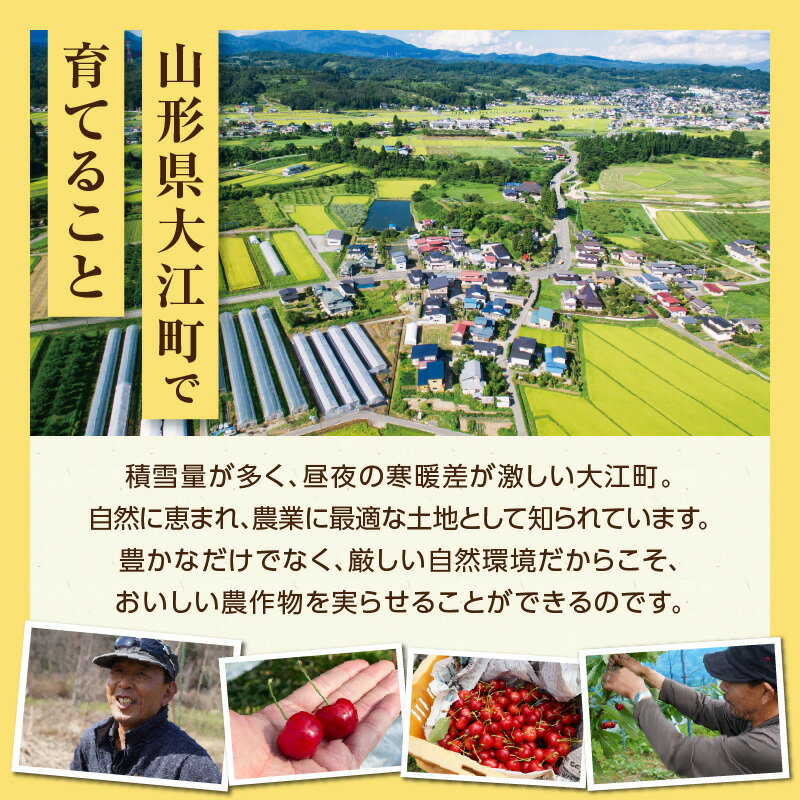 【ふるさと納税】 《先行受付》枝豆（味風香）約1kg【2026年7月下旬以降〜発送予定】 枝豆 野菜 おつまみ ダイエット 高タンパク 低カロリー 低GI食品 - 画像3