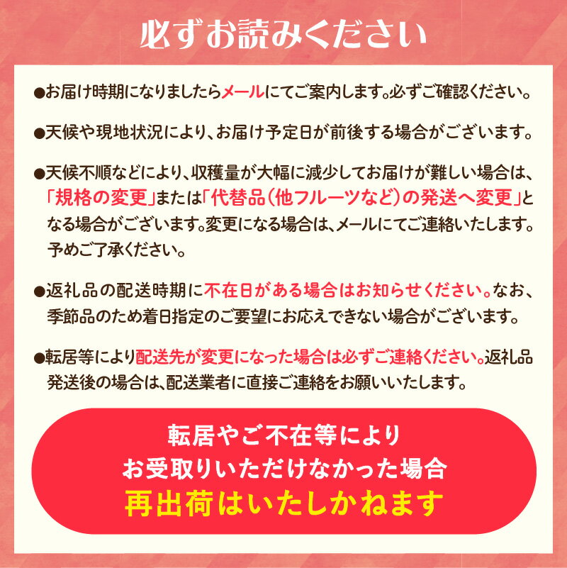 【ふるさと納税】《先行予約》タラの芽 約200g 【2026年3月中旬～順次発送予定】 山形県 大江町 タラの芽 山菜 天ぷら - 画像2