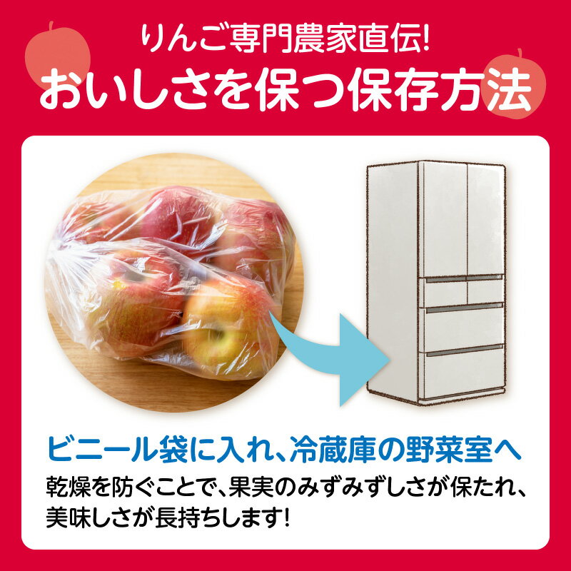 【ふるさと納税】《先行受付》山形県産「サンふじ」秀品 約5kg 約16～18玉【2025年11月中旬頃～順次発送予定】 山形県 大江町 りんご リンゴ サンふじ 5キロ 16～18玉 ご褒美 フルーツ 果物 秀品 サムネイル3