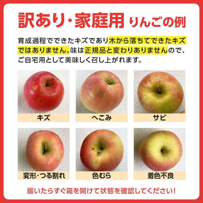 【ふるさと納税】《先行受付》 大江町産 家庭用サンふじ 選べる内容量 （約5kg～10kg 18玉～36玉前後）【2025年11月下旬頃～順次発送予定】 山形県 大江町産 サンふじ りんご 家庭用 選べる内容量 5キロ 18玉前後 10キロ 36玉前後 産地直送 甘い しゃきしゃき 旬の果物 サムネイル3