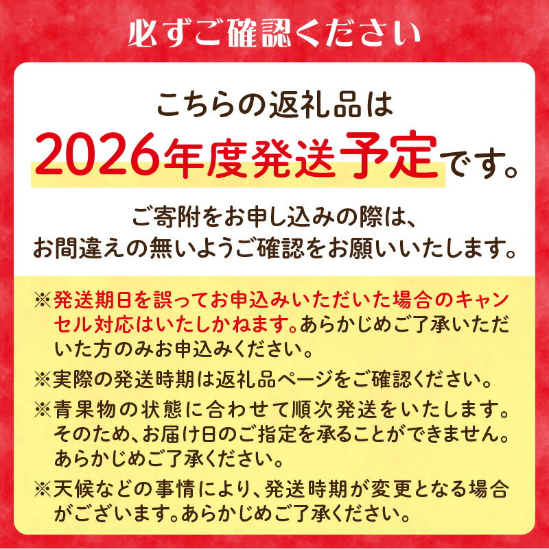 【ふるさと納税】 ≪先行受付≫【2026年度発送】 桃と梨好きの満足定期便【定期便全3回】 白桃 和梨 黄桃 フルーツ 果物 産地直送 定期便 サムネイル2