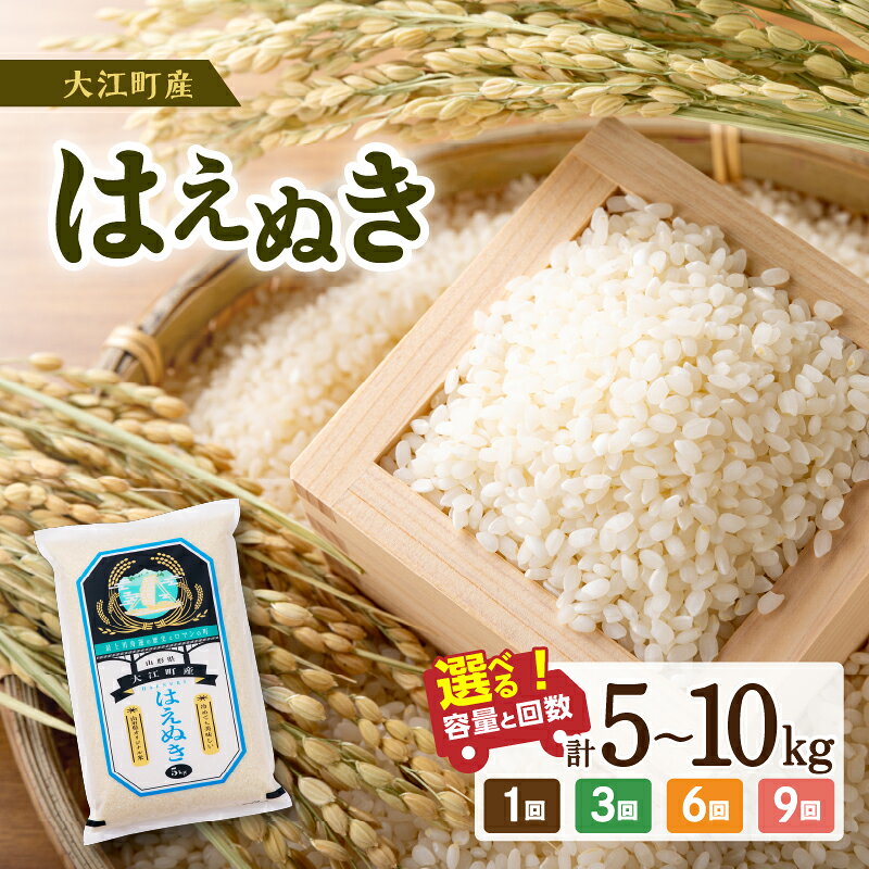 大江町産 はえぬき 10月頃より発送予定 選べる内容量・配送回数(5kg〜90kg) 令和7年産 2025年産米 米 ブランド米 お米 精米 単品 定期便