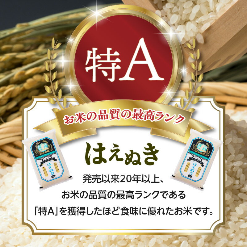 【ふるさと納税】 大江町産 はえぬき 10月頃より発送予定 選べる内容量・配送回数(5kg〜90kg) 令和7年産 2025年産米 米 ブランド米 お米 精米 単品 定期便 - 画像2