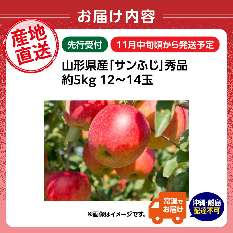 【ふるさと納税】《先行受付》山形県産「サンふじ」秀品 約5kg 約12～14玉【2025年11月中旬頃～順次発送予定】 山形県 大江町 りんご リンゴ サンふじ 5キロ 12～14玉 ご褒美 フルーツ 果物 秀品 サムネイル2