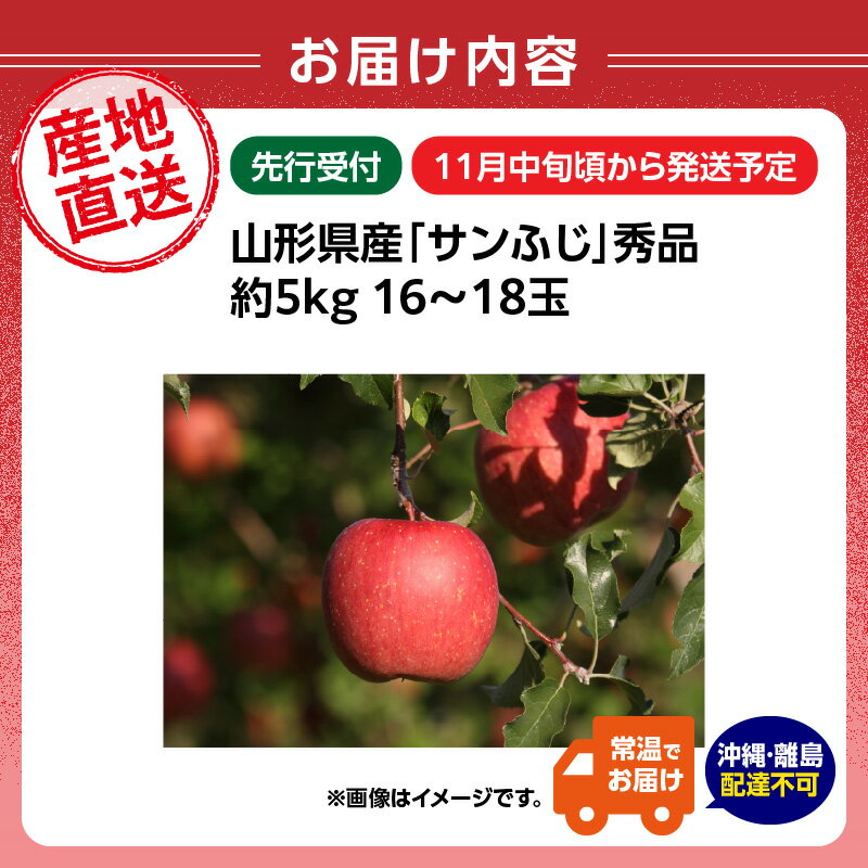 【ふるさと納税】《先行受付》山形県産「サンふじ」秀品 約5kg 約16～18玉【2025年11月中旬頃～順次発送予定】 山形県 大江町 りんご リンゴ サンふじ 5キロ 16～18玉 ご褒美 フルーツ 果物 秀品 サムネイル2