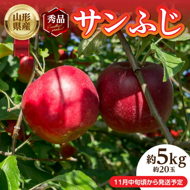 《先行受付》山形県産「サンふじ」秀品 約5kg 約20玉【2025年11月中旬頃～順次発送予定】 山形県 大江町 りんご リンゴ サンふじ 5キロ 20玉 ご褒美 フルーツ 果物 秀品