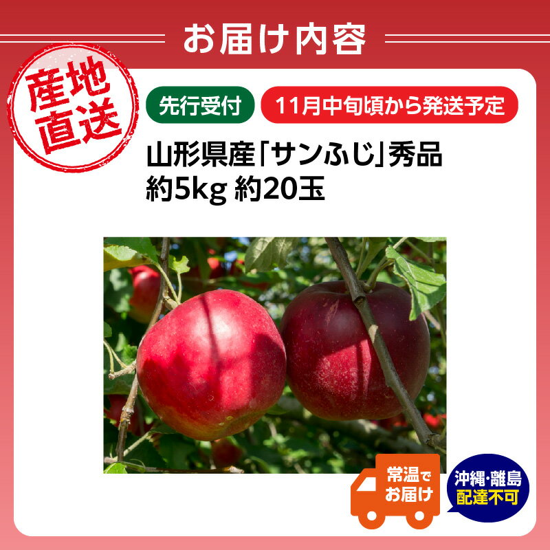 【ふるさと納税】《先行受付》山形県産「サンふじ」秀品 約5kg 約20玉【2025年11月中旬頃～順次発送予定】 山形県 大江町 りんご リンゴ サンふじ 5キロ 20玉 ご褒美 フルーツ 果物 秀品 サムネイル2