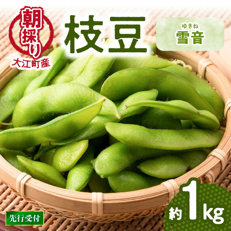 《先行受付》枝豆（雪音）約1kg【2026年8月末より順次発送予定】 山形県 大江町 枝豆 豆 まめ 大粒 雪音 ゆきね 朝採り おつまみ