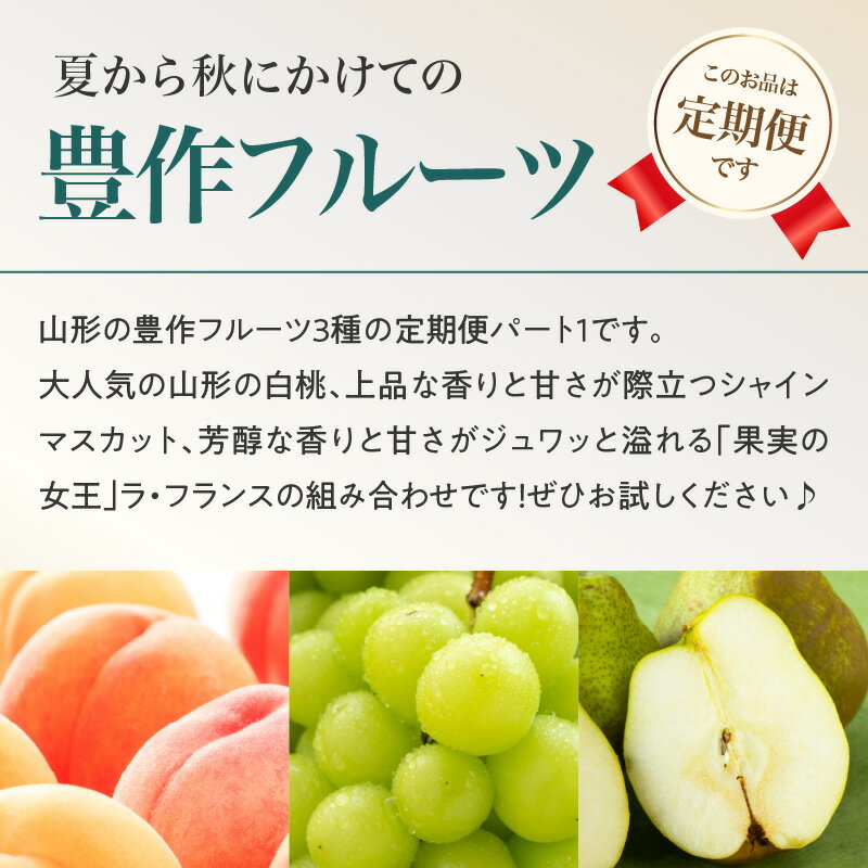 【ふるさと納税】 ≪先行受付≫【2026度年発送】 山形豊作フルーツ人気A【定期便全3回】 白桃 シャインマスカット ラ・フランス フルーツ 果物 産地直送 定期便 サムネイル3