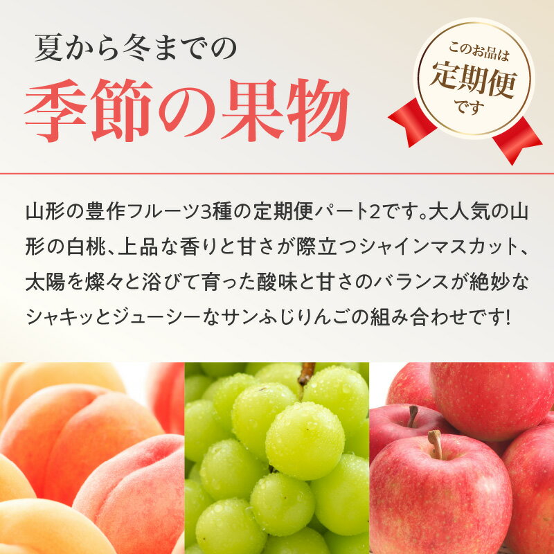 【ふるさと納税】 ≪先行受付≫【2026年度発送】 山形豊作フルーツ人気B【定期便全3回】 白桃 シャインマスカット サンふじ りんご フルーツ 果物 定期便 桃 モモ もも りんご 林檎 ぶどう 秀品 山形 果実 旬のフルーツ サムネイル3