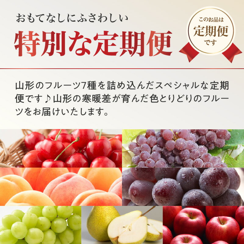 【ふるさと納税】 ≪先行受付≫ お・も・て・な・し山形フルーツ便【定期便全6回】さくらんぼ デラウェア 白桃 ピオーネ シャインマスカット ラ・フランス サンふじ りんご フルーツ 果物 産地直送 定期便 サムネイル2