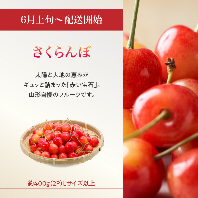 【ふるさと納税】 ≪先行受付≫ お・も・て・な・し山形フルーツ便【定期便全6回】さくらんぼ デラウェア 白桃 ピオーネ シャインマスカット ラ・フランス サンふじ りんご フルーツ 果物 産地直送 定期便 サムネイル3