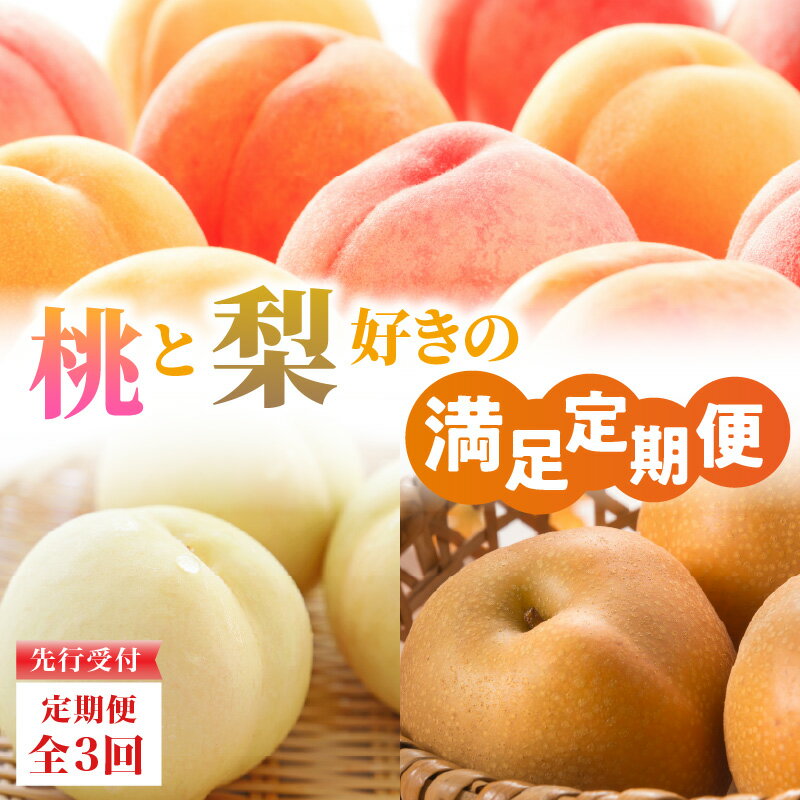 ≪先行受付≫【2026年度発送】 桃と梨好きの満足定期便【定期便全3回】 白桃 和梨 黄桃 フルーツ 果物 産地直送 定期便