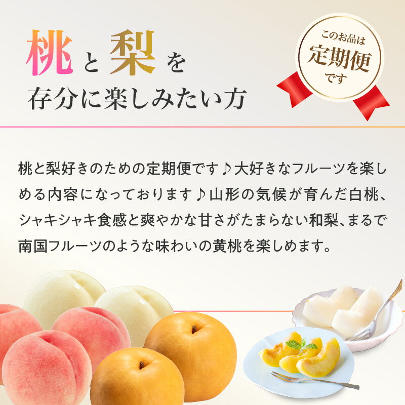 【ふるさと納税】 ≪先行受付≫【2026年度発送】 桃と梨好きの満足定期便【定期便全3回】 白桃 和梨 黄桃 フルーツ 果物 産地直送 定期便 サムネイル3