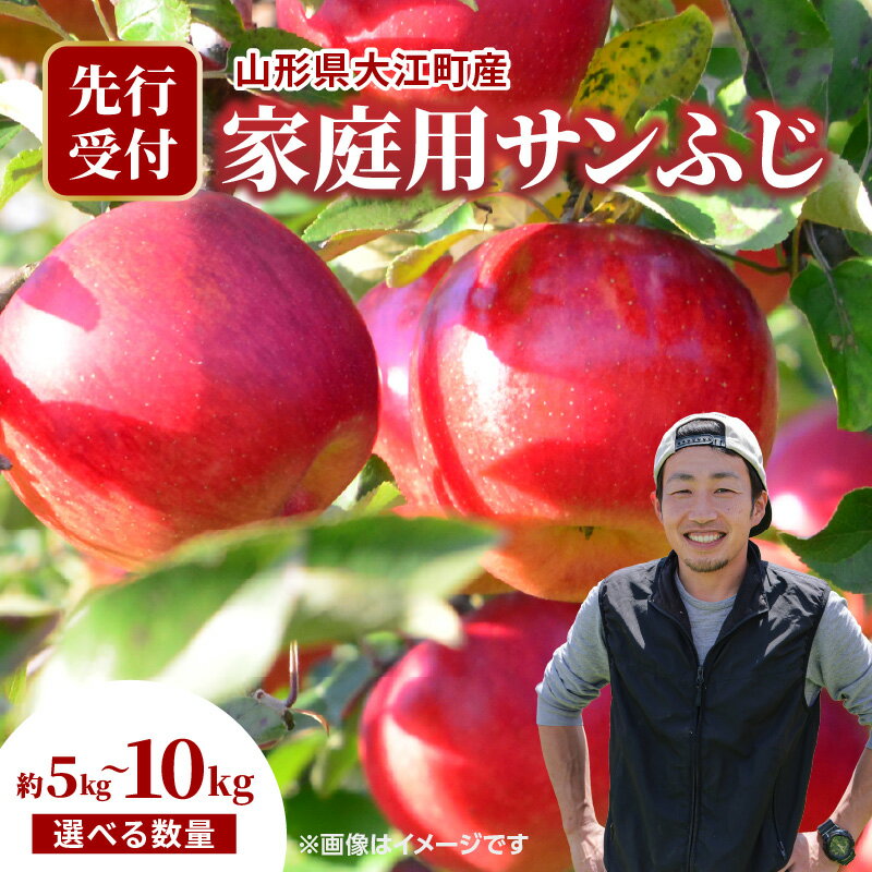 《先行受付》 大江町産 家庭用サンふじ 選べる内容量 （約5kg～10kg 18玉～36玉前後）【2025年11月下旬頃～順次発送予定】 山形県 大江町産 サンふじ りんご 家庭用 選べる内容量 5キロ 18玉前後 10キロ 36玉前後 産地直送 甘い しゃきしゃき 旬の果物