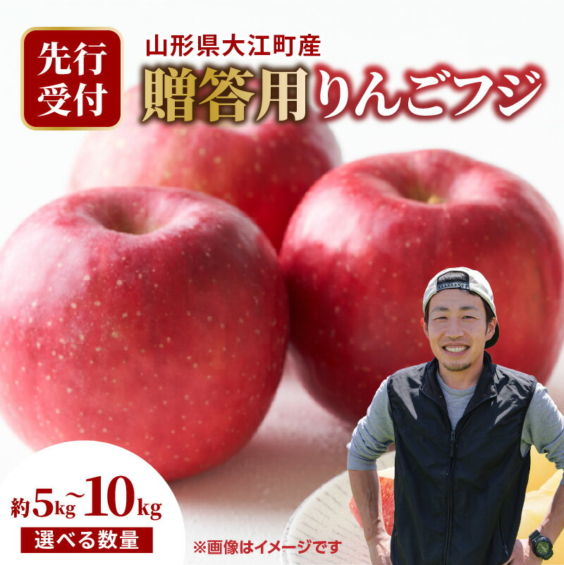 《先行受付》大江町産 贈答用リンゴふじ 選べる内容量（約5kg～10kg 18玉～36玉前後）【2025年11月下旬頃～順次発送予定】 山形県 大江町産 ふじ りんご 贈答用 選べる内容量 5キロ 18玉前後 10キロ 36玉前後 産地直送 甘い しゃきしゃき 旬の果物