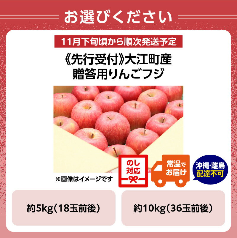 【ふるさと納税】《先行受付》大江町産 贈答用リンゴふじ 選べる内容量（約5kg～10kg 18玉～36玉前後）【2025年11月下旬頃～順次発送予定】 山形県 大江町産 ふじ りんご 贈答用 選べる内容量 5キロ 18玉前後 10キロ 36玉前後 産地直送 甘い しゃきしゃき 旬の果物 サムネイル3
