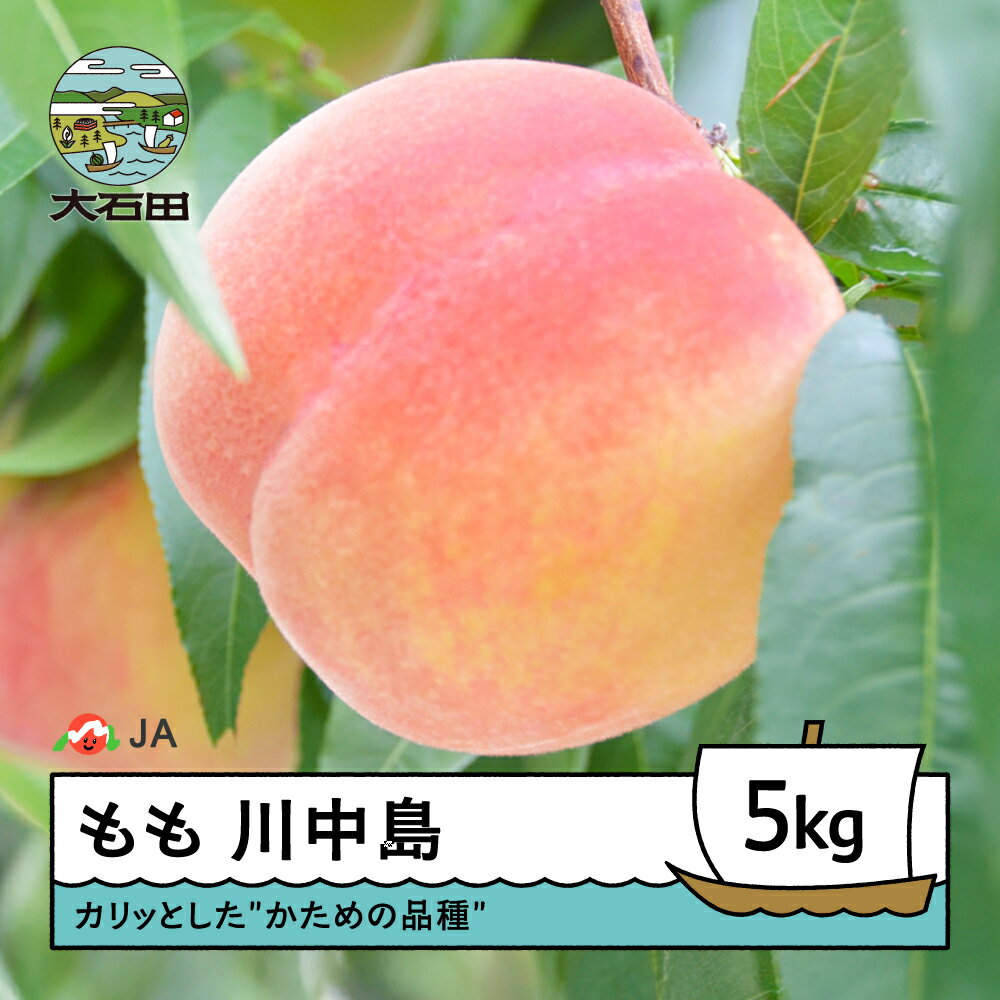 【先行予約】もも 桃 川中島 約5kg 2026年産 令和8年産 果物 フルーツ 果樹 送料無料 ja-moknx5 ※沖縄・離島への配送不可