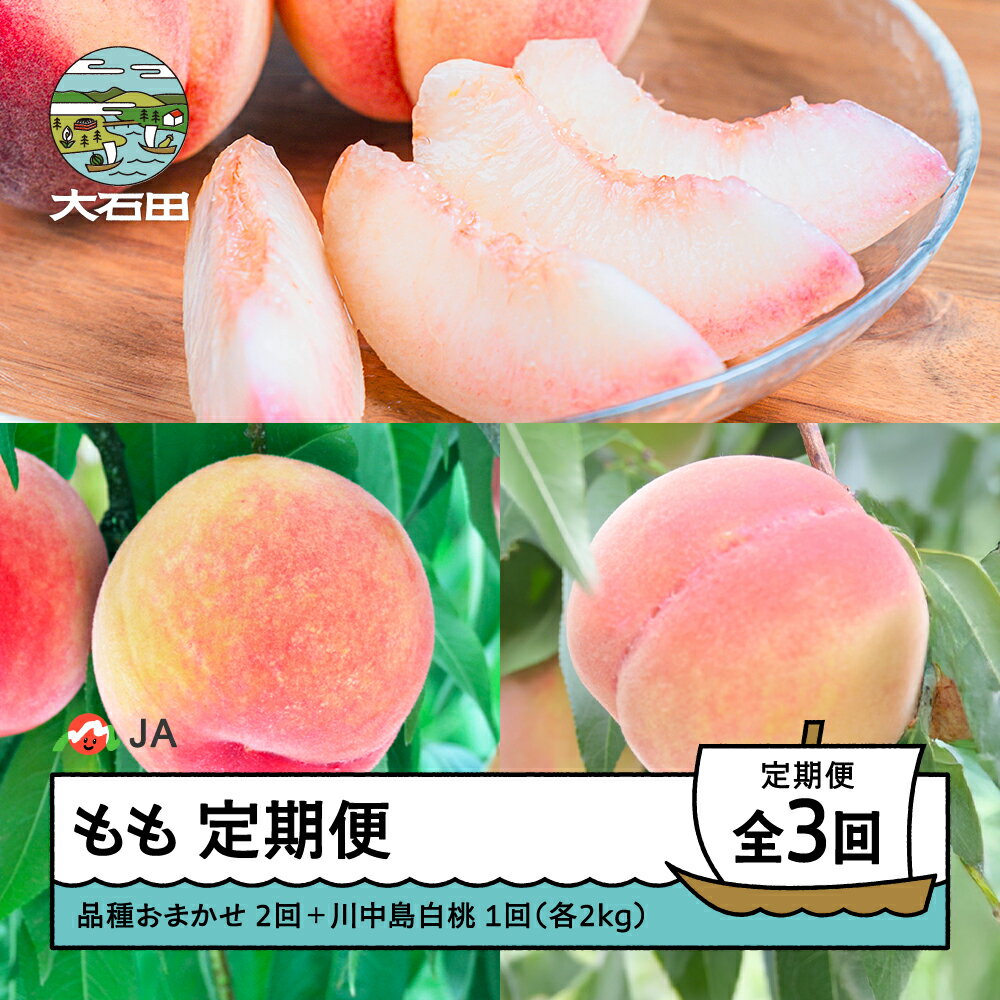 【先行予約】桃 もも 3回 定期便 令和8年産 2026年産 品種おまかせ 2回 川中島 1回 山形県 大石田町 フルーツ 果物 ja-tkmox ※沖縄・離島への配送不可
