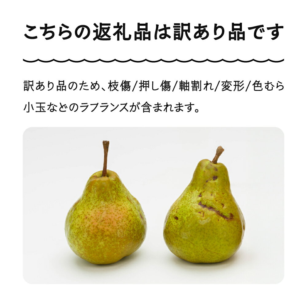 【ふるさと納税】ラ・フランス 洋梨 訳あり 約5kg 2025年産 令和7年産 フルーツ 果物 山形県 ns-lawax5 サムネイル2