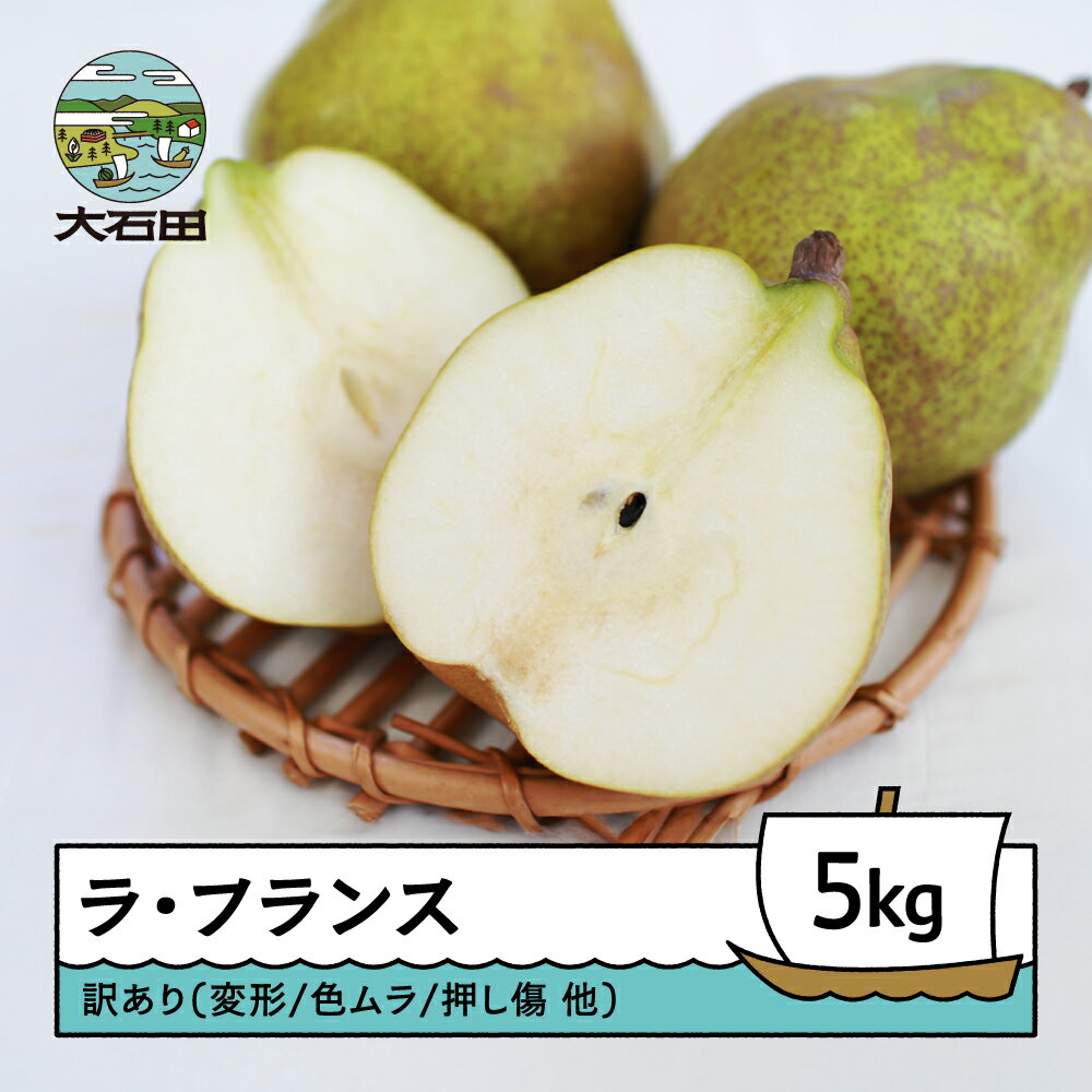 ラ・フランス 洋梨 訳あり 約5kg 2025年産 令和7年産 フルーツ 果物 山形県 ns-lawax5