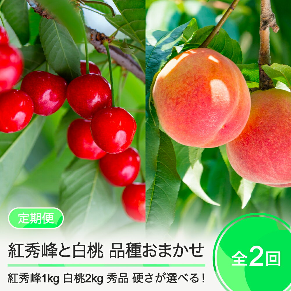 【先行予約】 2回定期便 紅秀峰1kg×白桃2kg さくらんぼ 白桃 品種おまかせ 選べる定期便 山形県産 2026年産 令和8年産 フルーツ 果実 ry-ft2bhx