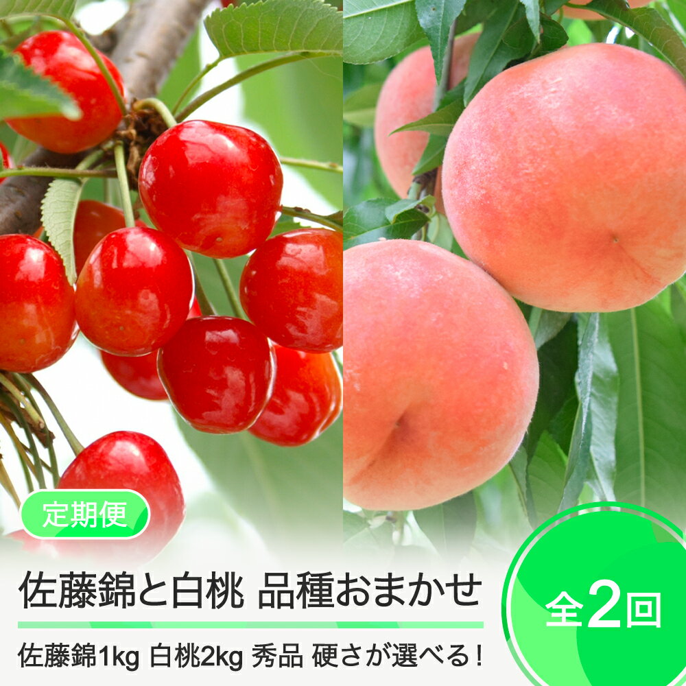 【先行予約】 2回定期便 佐藤錦1kg×白桃2kg さくらんぼ 白桃 品種おまかせ 選べる定期便 山形県産 2026年産 令和8年産 フルーツ 果実 ry-ft2shx
