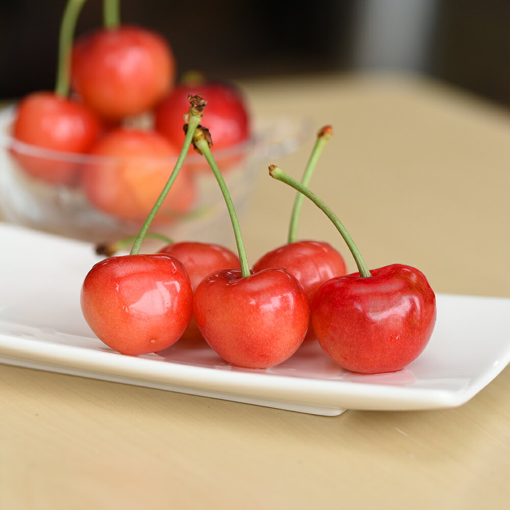 【ふるさと納税】さくらんぼ 佐藤錦 秀L 500g 2026年産 令和8年産 山形県産 ふるさと納税 果物 くだもの フルーツ 期間限定 冷蔵配送 先行受付 グルメ 取り寄せ ご当地 特産 産地 直送 送料無料 東北 山形県 人気 ry-snslb500 サムネイル3