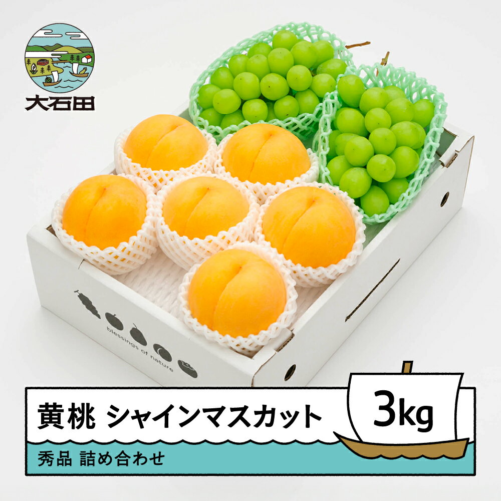【先行予約】 もも 黄桃 有袋黄桃 秀品 ＆ シャインマスカット 品種おまかせ 詰め合わせ 約3kg 2026年産 送料無料 フルーツ 果物 大石田 ns-fsosx3※沖縄・離島への配送不可