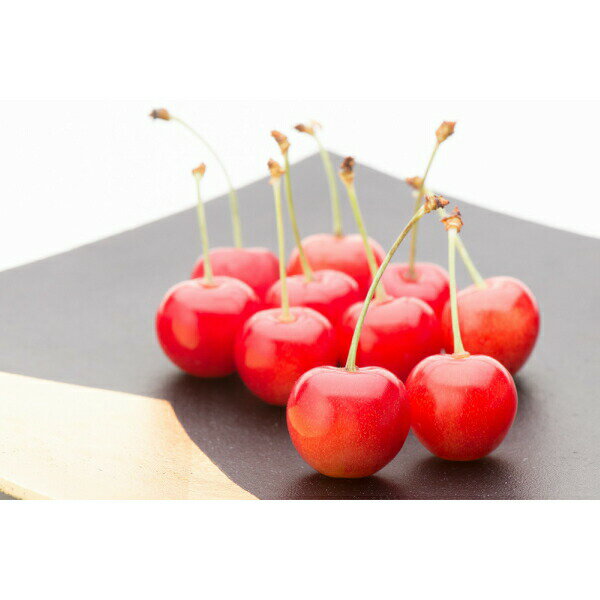 【ふるさと納税】加温 さくらんぼ 佐藤錦 特秀品 L玉 ダイヤパック 100g×3パック 2026年産 令和8年産 山形県産 送料無料 ja-snpcx300 ※沖縄・離島への配送不可 サムネイル2