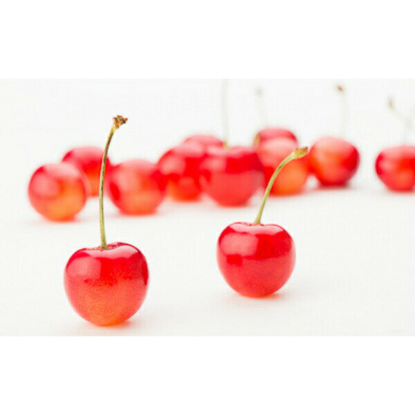 【ふるさと納税】 さくらんぼ 紅秀峰 6月中旬〜7月上旬発送 秀2Lサイズ 700g (350gx2) バラ詰め 2026年産 山形県産 送料無料 サクランボ ns-bss2b700 サムネイル3