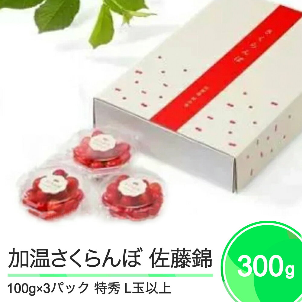 加温 さくらんぼ 佐藤錦 特秀品 L玉 ダイヤパック 100g×3パック 2026年産 令和8年産 山形県産 送料無料 ja-snpcx300 ※沖縄・離島への配送不可