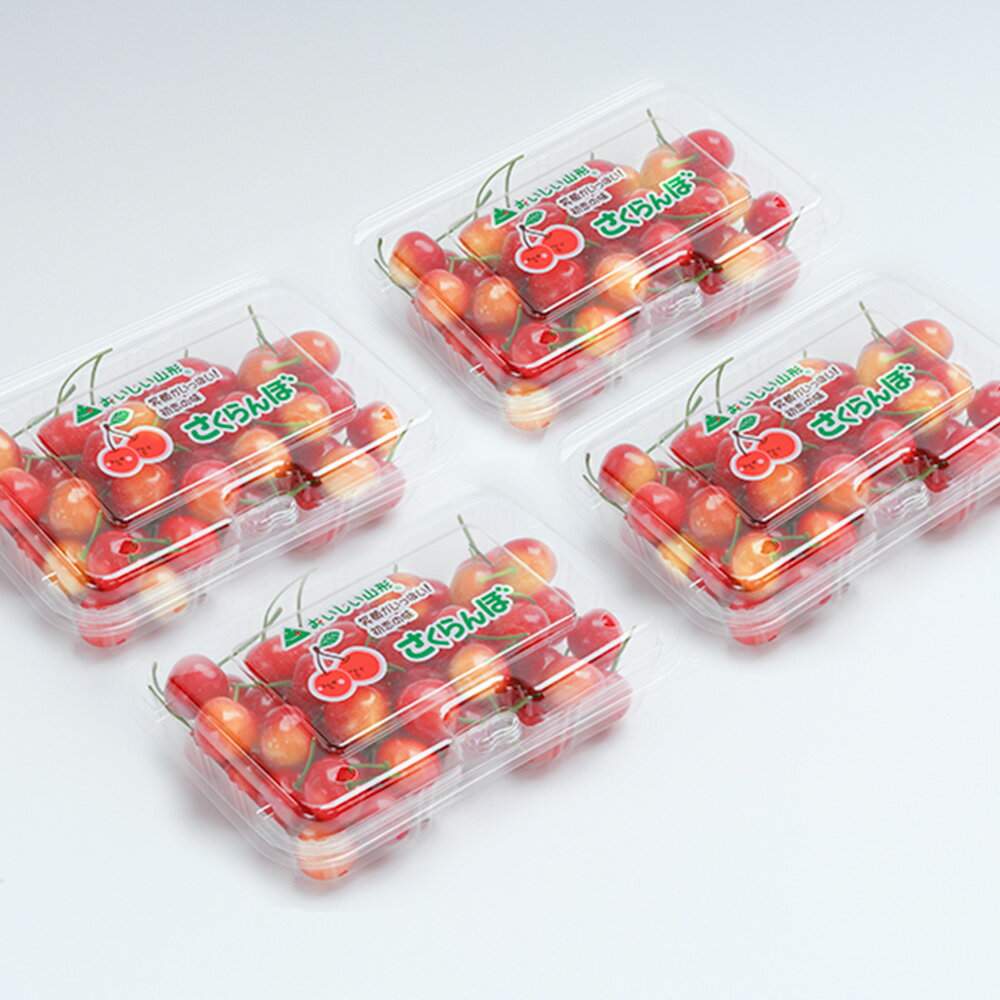 【ふるさと納税】 さくらんぼ 佐藤錦 6月上旬〜下旬発送 秀Mサイズ 720g (180gx4パック) フードパック 2026年産 山形県産 送料無料 サクランボ サムネイル2