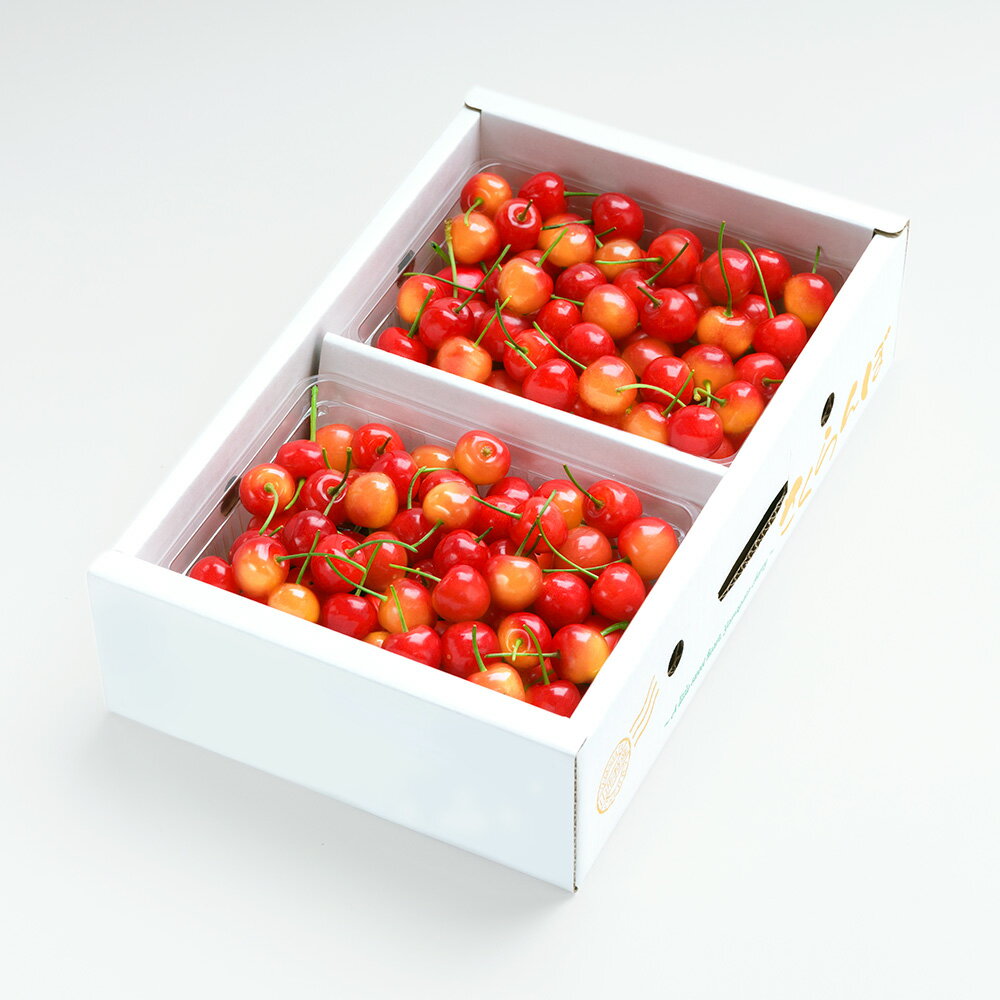 【ふるさと納税】 さくらんぼ 佐藤錦 6月上旬〜下旬発送 秀Lサイズ プレゼント ギフト バラ詰め 1kg(500g×2パック) 2026年産 山形県産 送料無料 サクランボ サムネイル2