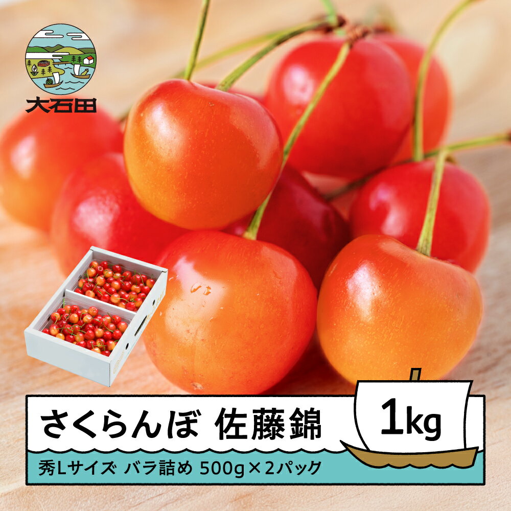 さくらんぼ 佐藤錦 6月上旬〜下旬発送 秀Lサイズ プレゼント ギフト バラ詰め 1kg(500g×2パック) 2026年産 山形県産 送料無料 サクランボ