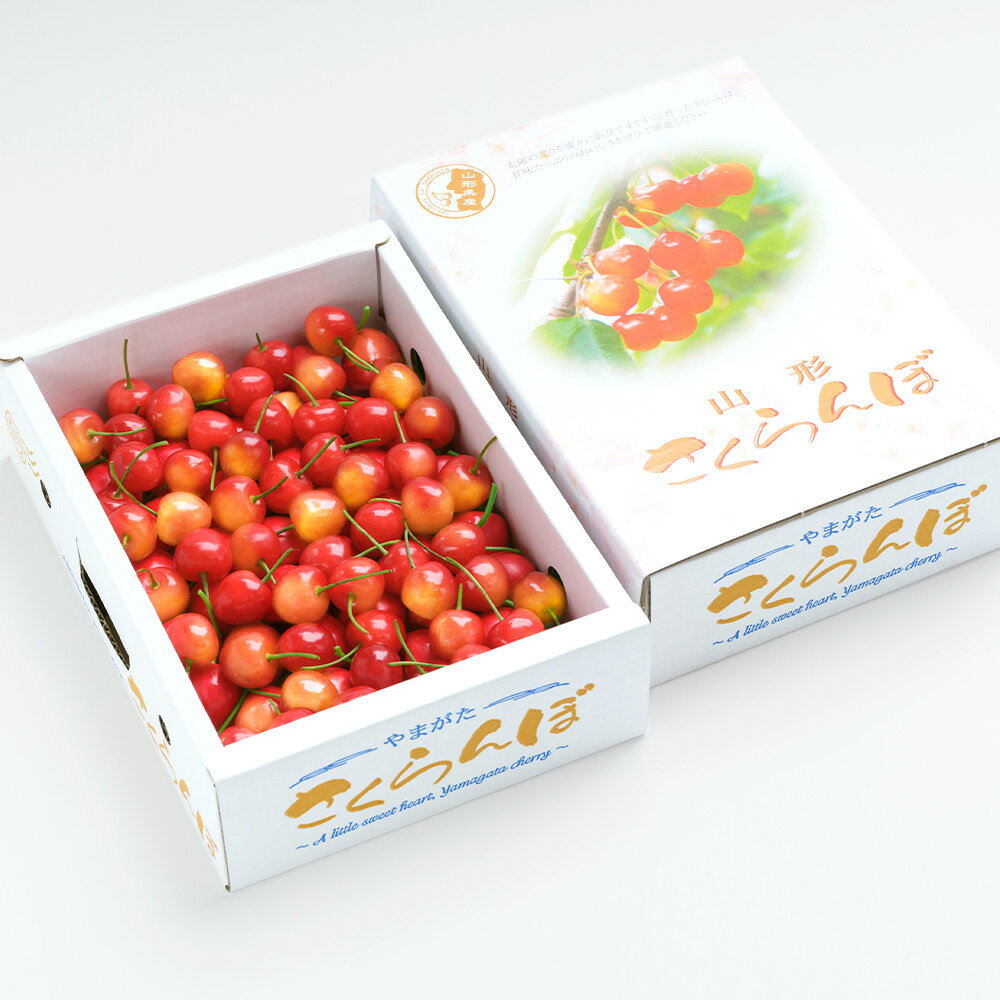 【ふるさと納税】 さくらんぼ 佐藤錦 6月上旬〜下旬発送 秀Mサイズ バラ詰め 1.2kg(600g×2箱) 2026年産 山形県産 送料無料 サクランボ サムネイル2