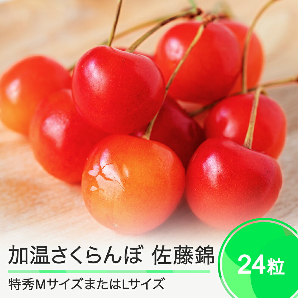 さくらんぼ 佐藤錦 加温ハウス栽培 特秀MサイズまたはLサイズ プレゼント ギフト チョコ箱入 24粒 山形県産 送料無料 サクランボ
