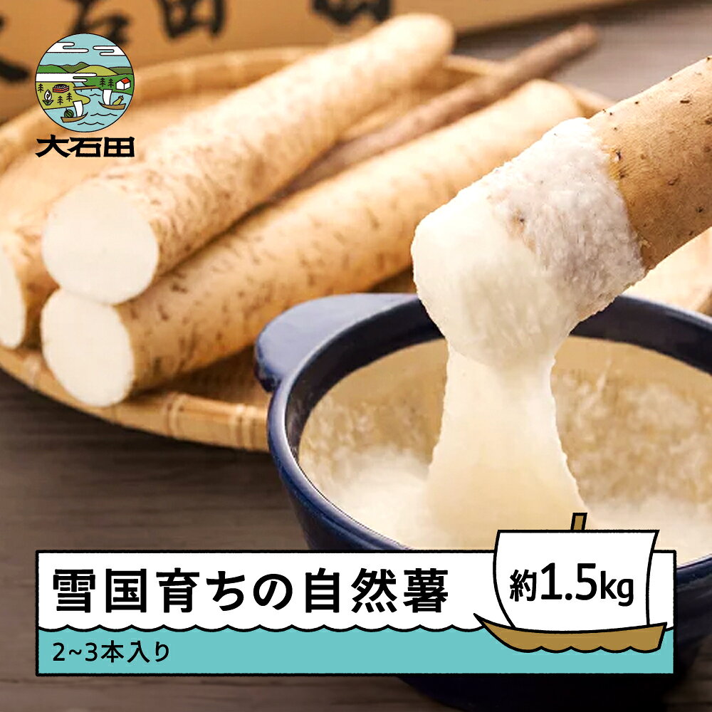 山形県産 自然薯 雪国育ちの自然薯 約1.5kg 2〜3本入り 送料無料 oz-zixxx15