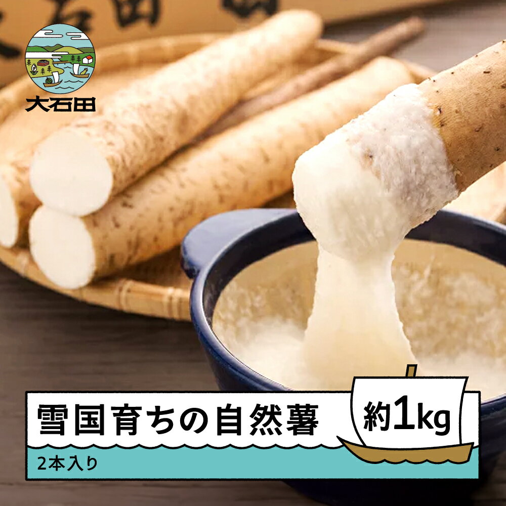 山形県産 自然薯 雪国育ちの自然薯 約1kg 2本入り 送料無料 oz-zixxx1