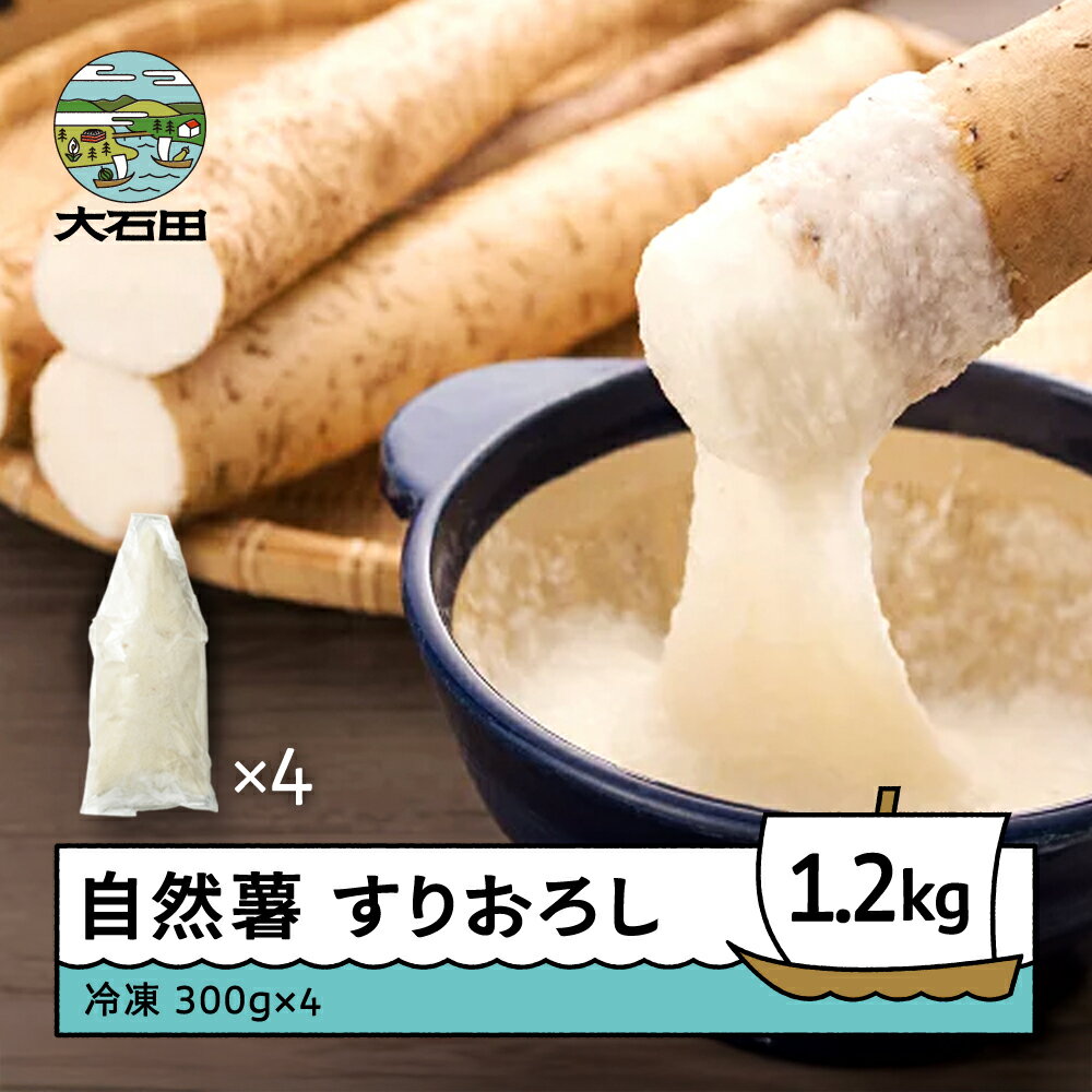 自然薯 雪国育ちの自然薯 すりおろし 300g×4個 計1200g 山形県産 大石田町 oz-zisox1200