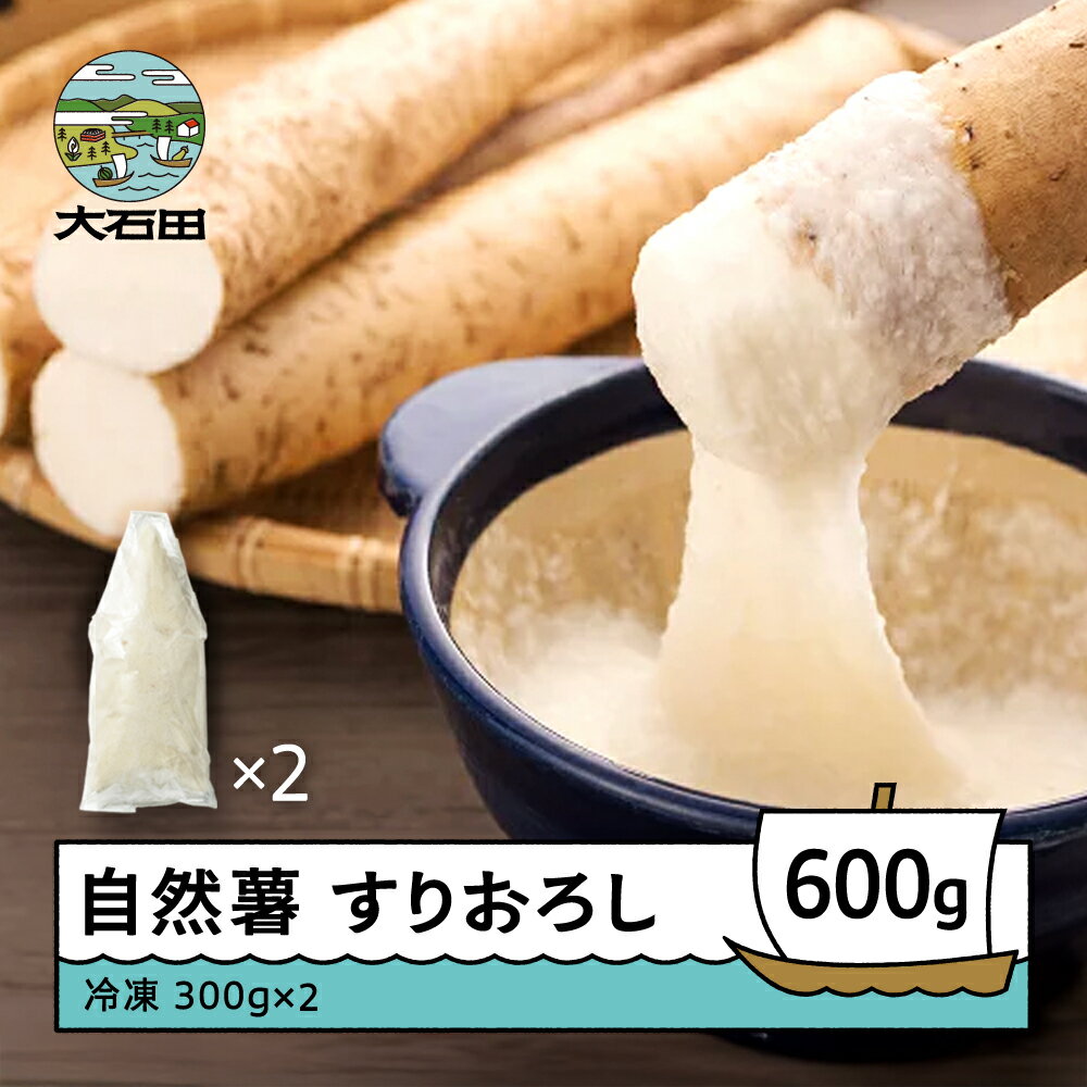 自然薯 雪国育ちの自然薯 すりおろし 300g×2個 計600g 山形県産 大石田町 oz-zisox600