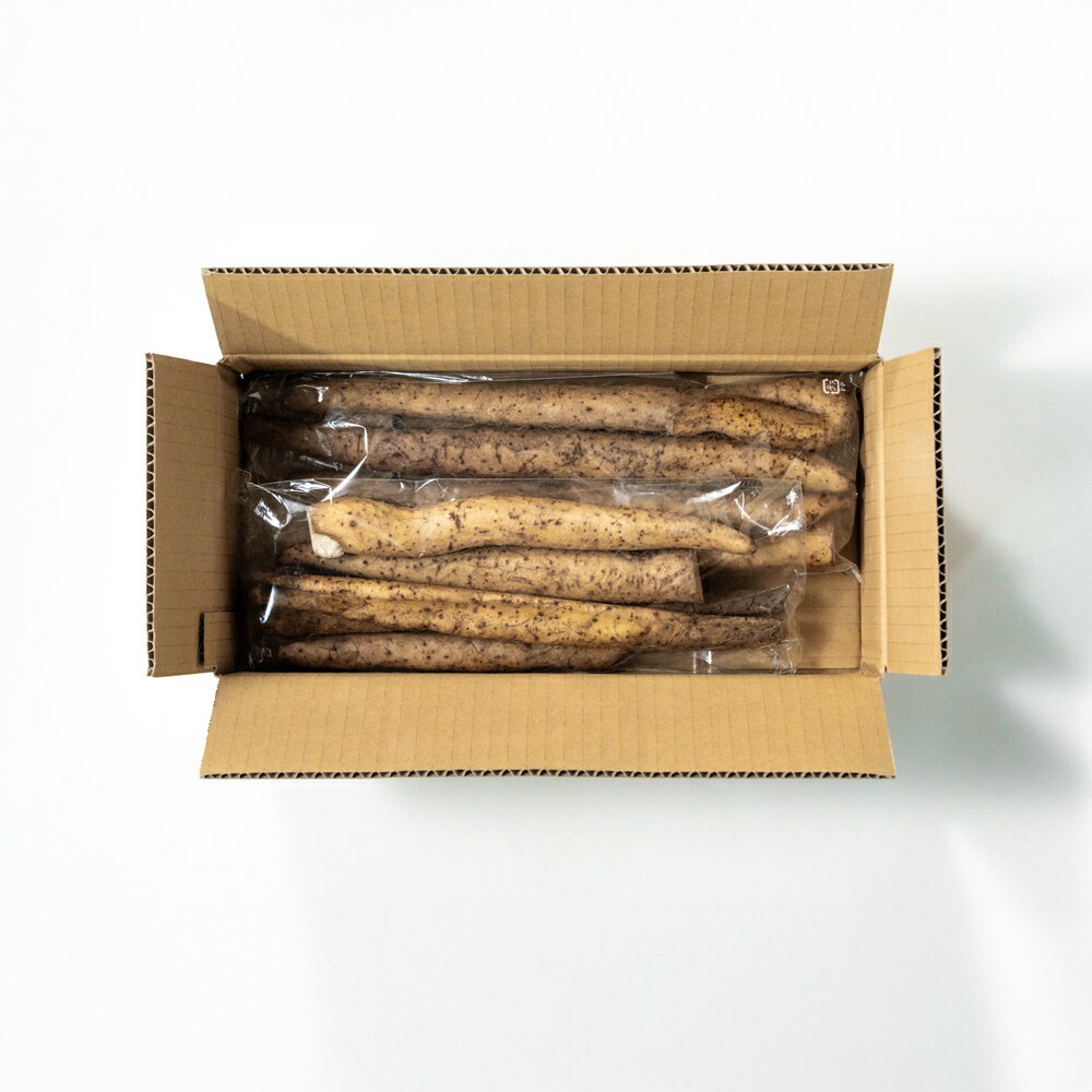 【ふるさと納税】 自然薯 訳あり 雪国育ちの自然薯 約500g 野菜 芋 いも 山形県産 oz-ziwxx500 - 画像2