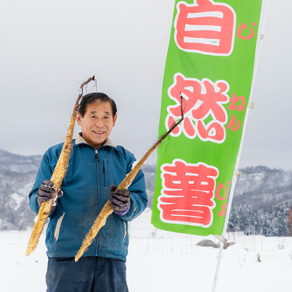【ふるさと納税】山形県産 自然薯 雪国育ちの自然薯 約1kg 2本入り 送料無料 oz-zixxx1 - 画像2